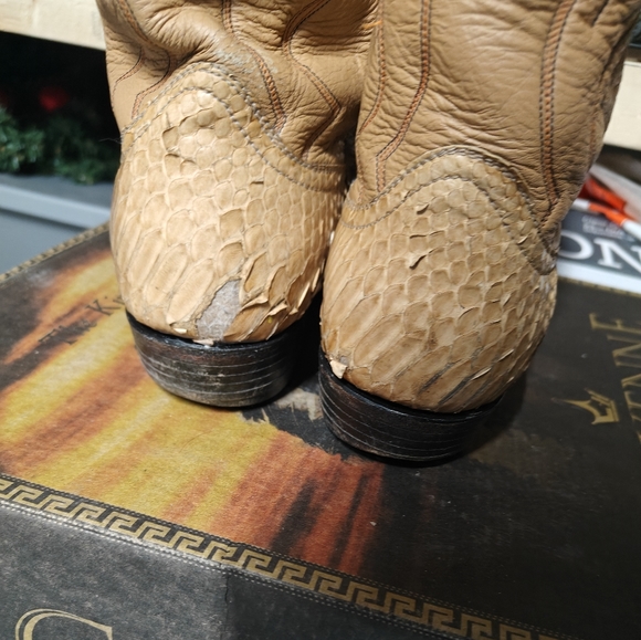 Cowboy boots Python Leather - Picture 2 of 5